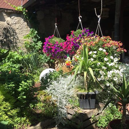 Apartamento Haus Gisela Endingen am Kaiserstuhl Exterior foto