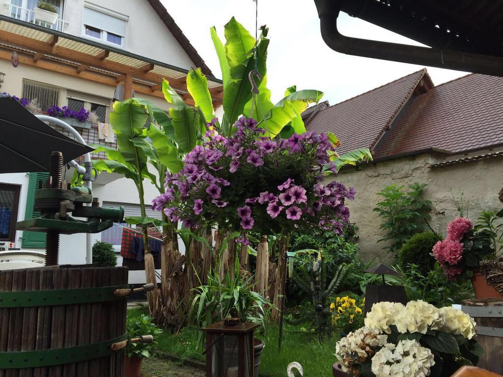 Apartamento Haus Gisela Endingen am Kaiserstuhl Exterior foto